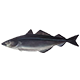 Moře